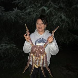 Meet your Posher, Carol